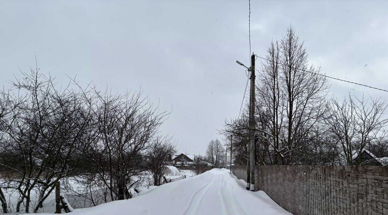 земля городской округ Раменский д Тяжино ул Ежевичная фото 8