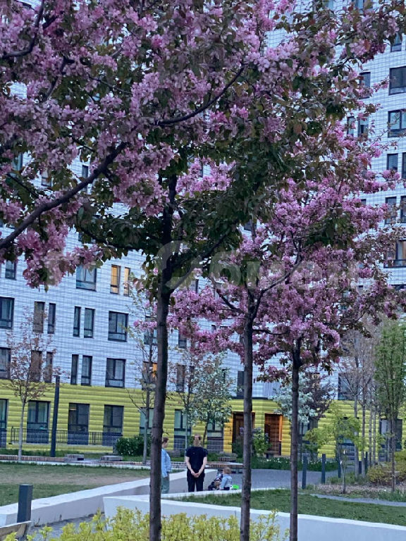 квартира г Москва метро Саларьево Саларьевская ул., 10к 1, обл Московская фото 15