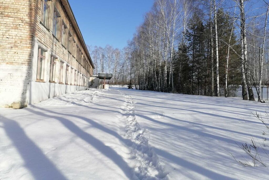 свободного назначения р-н Лунинский с Засурское ул Школьная фото 11