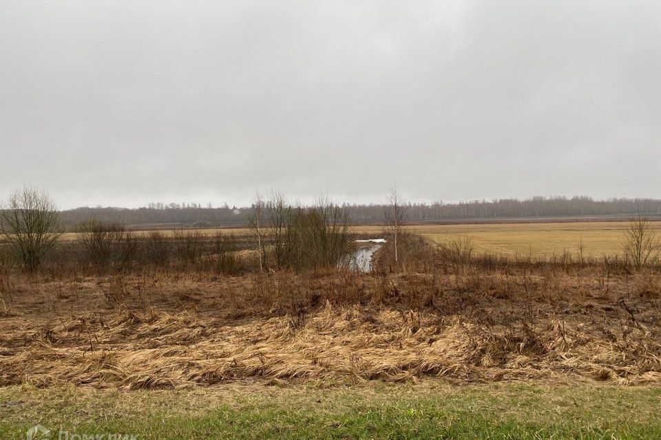 земля р-н Волховский п Свирица улица Заводский Посёлок фото 3