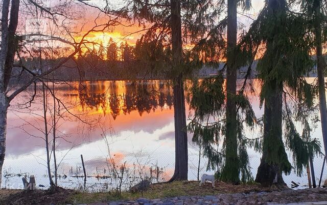 Рощинское городское поселение фото