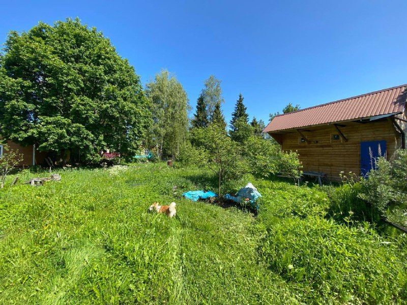 земля городской округ Дмитровский садовое товарищество Станкин-1 фото 1