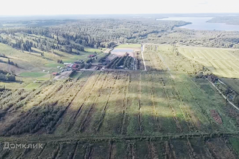 земля р-н Приозерский Красноозёрное сельское поселение фото 6