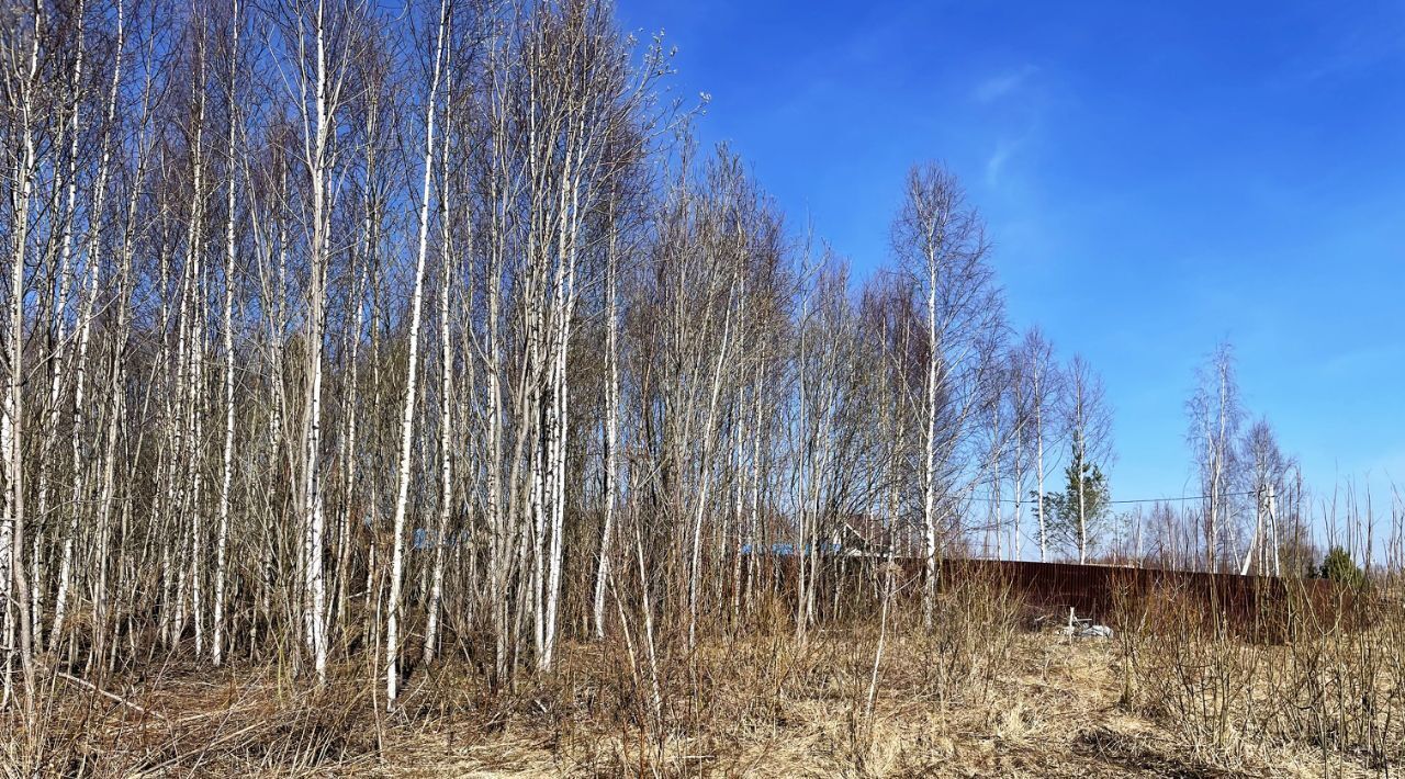 земля городской округ Солнечногорск д Новая фото 3