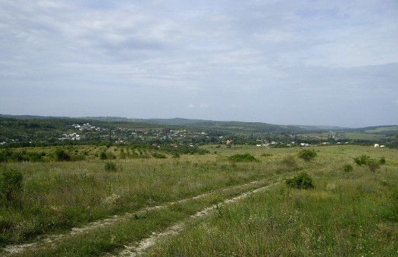 земля р-н Крымский ст-ца Неберджаевская Нижнебаканское сельское поселение, Нижнебаканская фото 2