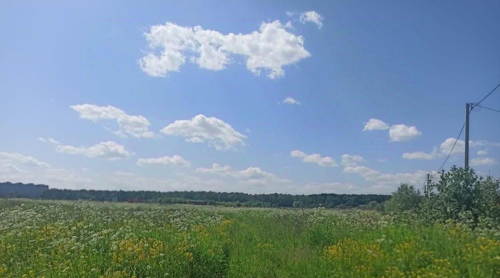 земля городской округ Раменский д Прудки Удельная фото 1