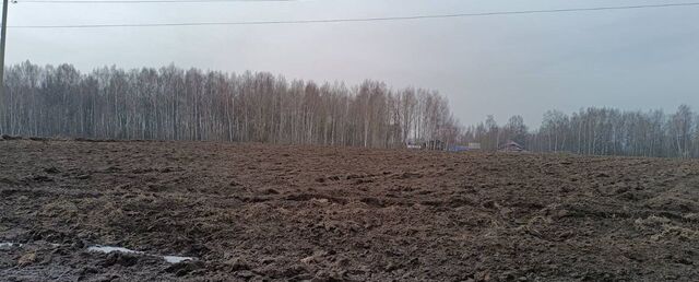 земля ул Советская Шунгенское сельское поселение, Кострома фото