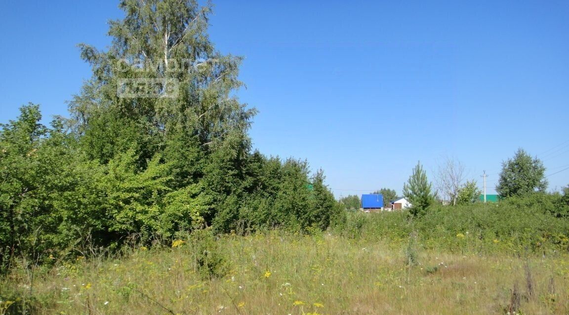 земля р-н Уфимский снт Надежда сельсовет, 5/40, Булгаковский фото 4