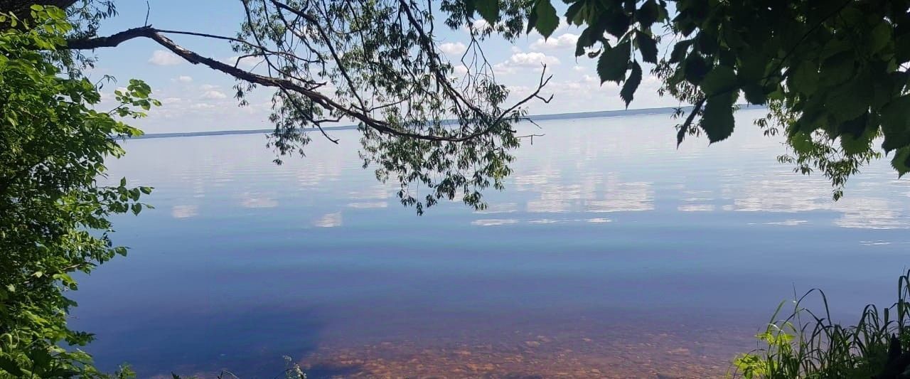 земля р-н Чкаловский д Котельницы Чкаловск городской округ фото 5