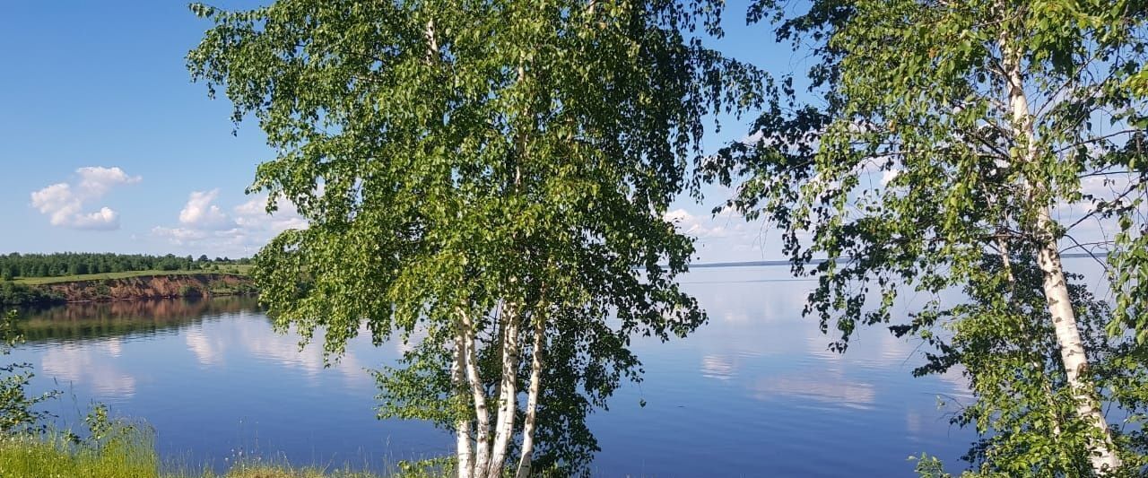 земля р-н Чкаловский д Котельницы Чкаловск городской округ фото 11