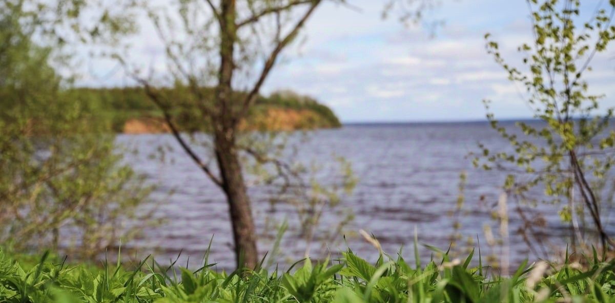 земля р-н Чкаловский д Котельницы Чкаловск городской округ фото 15