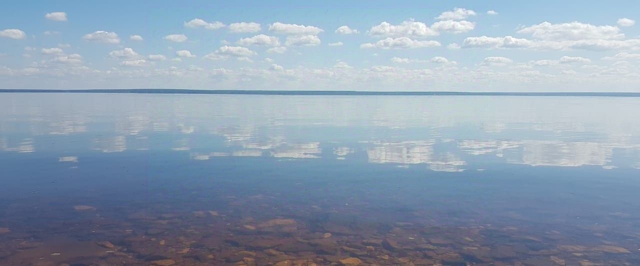 земля р-н Чкаловский д Котельницы Чкаловск городской округ фото 10