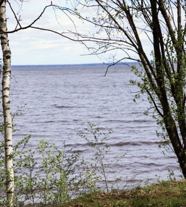 земля р-н Чкаловский д Котельницы Чкаловск городской округ фото 16