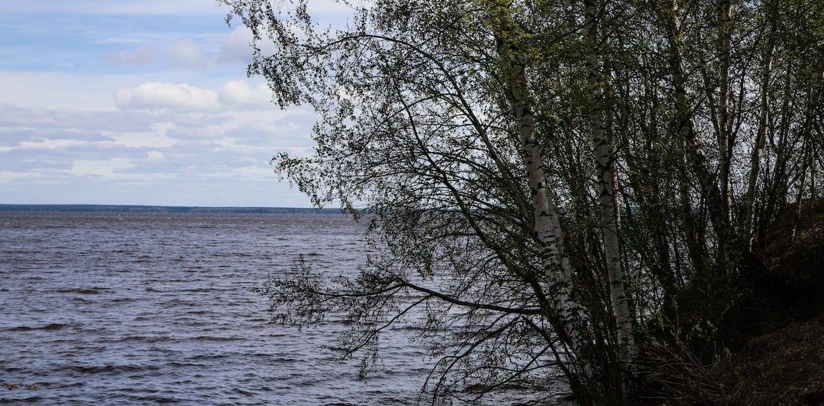 земля р-н Чкаловский д Котельницы Чкаловск городской округ фото 14