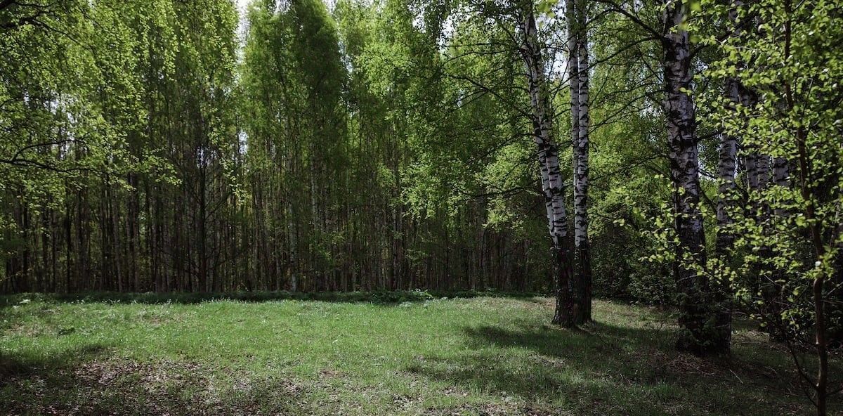 земля р-н Чкаловский д Котельницы Чкаловск городской округ фото 17