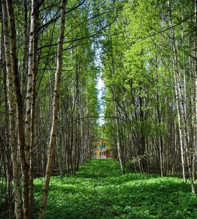 земля р-н Чкаловский д Котельницы Чкаловск городской округ фото 21