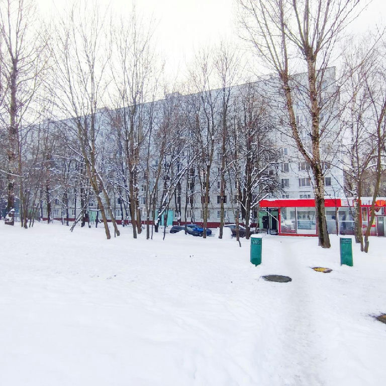 квартира г Москва метро Пражская ул Красного Маяка 11к/1 фото 27