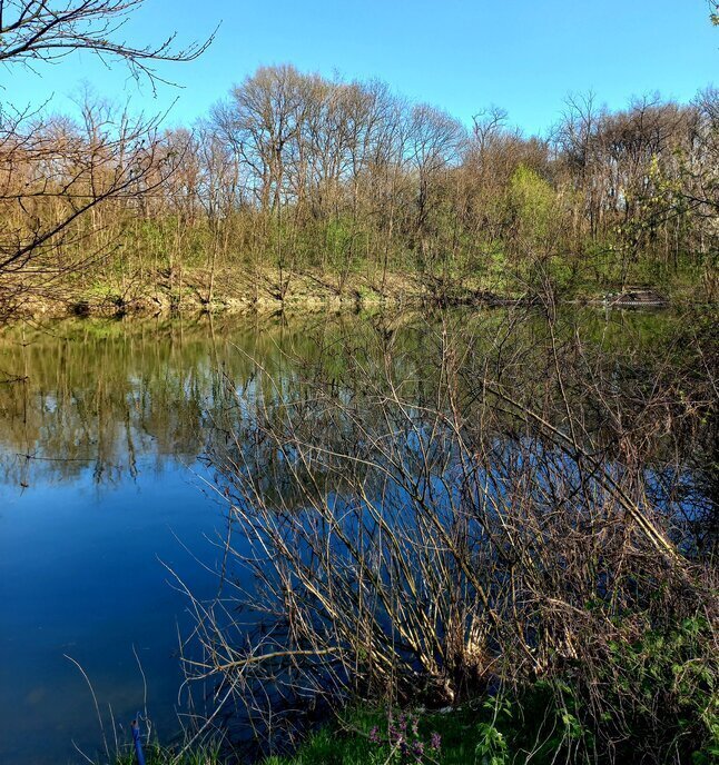 земля р-н Курганинский г Курганинск фото 1