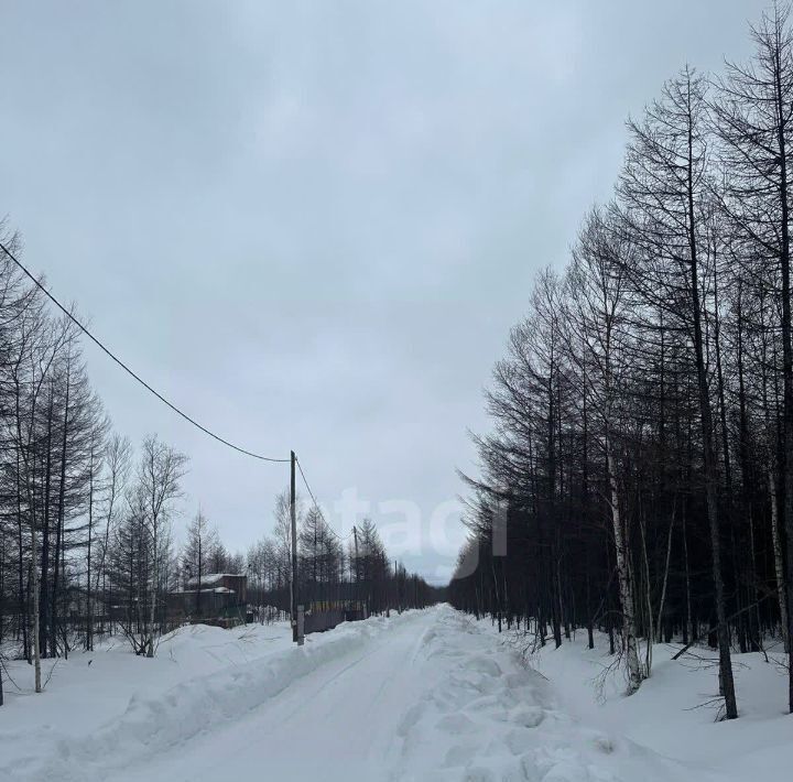 земля р-н Анивский снт Геркулес фото 4