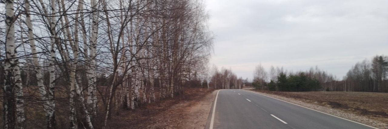 земля р-н Переславский д Рушиново Переславль-Залесский городской округ фото 4