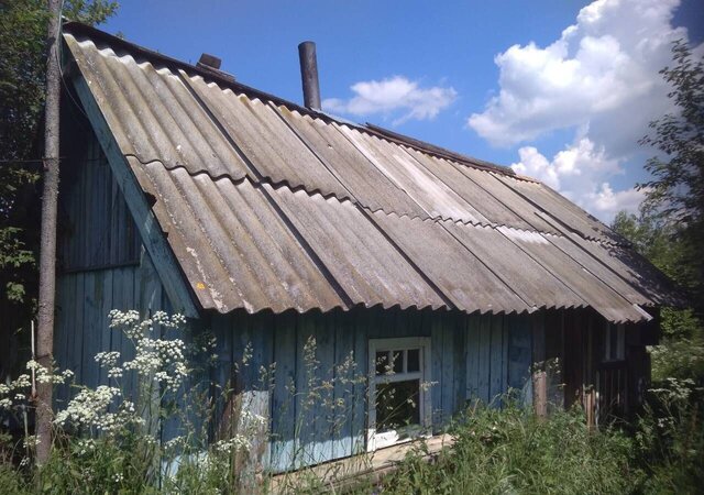 д. Мозгулино, Чкаловск фото