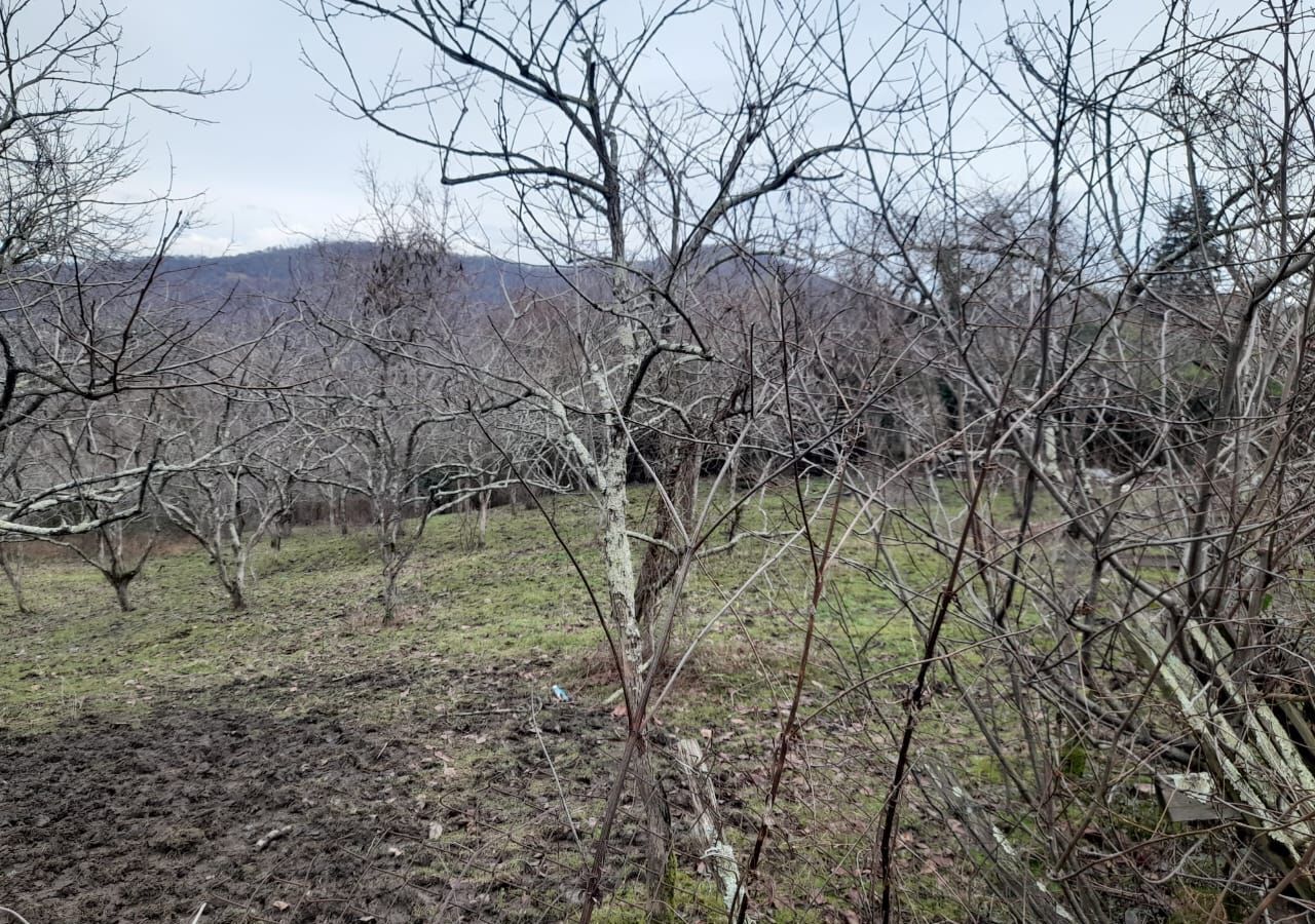 земля г Сочи р-н Адлерский с Вардане-Верино ул Веринская 35 фото 6