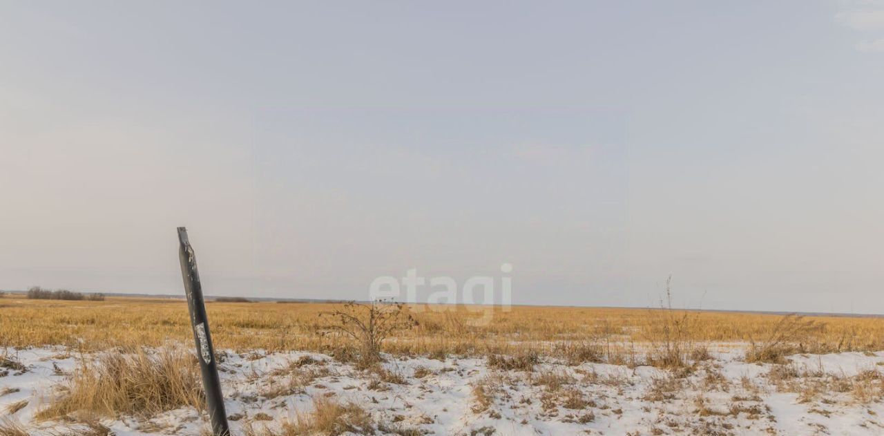 земля р-н Красноармейский с Канашево фото 8