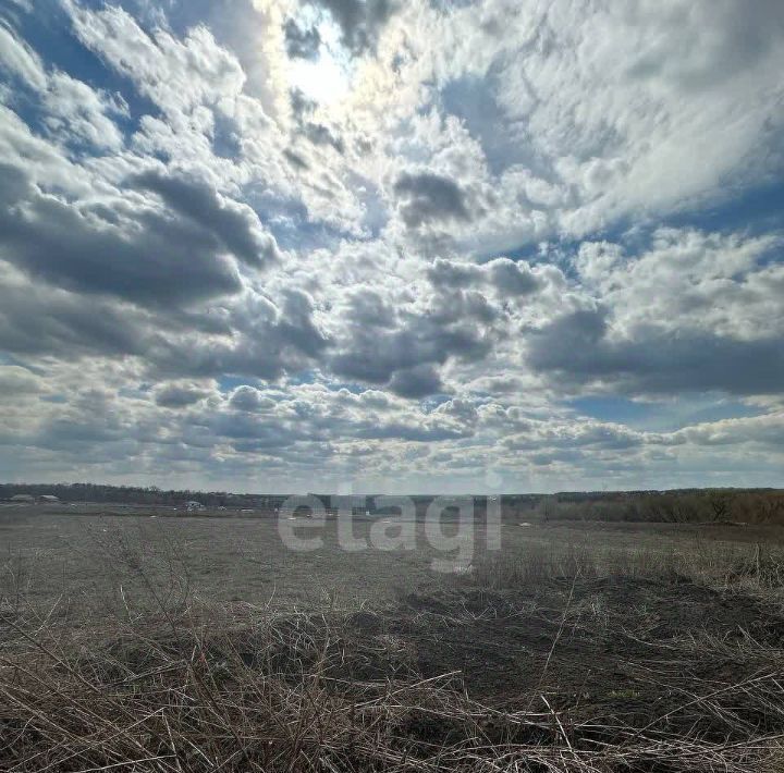 земля р-н Белгородский п Майский Майский-80 кв-л фото 9