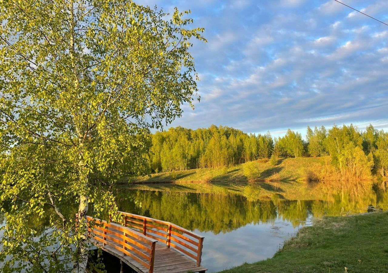 дом р-н Богородский д Подъяблонное ул Южная Дзержинск фото 18