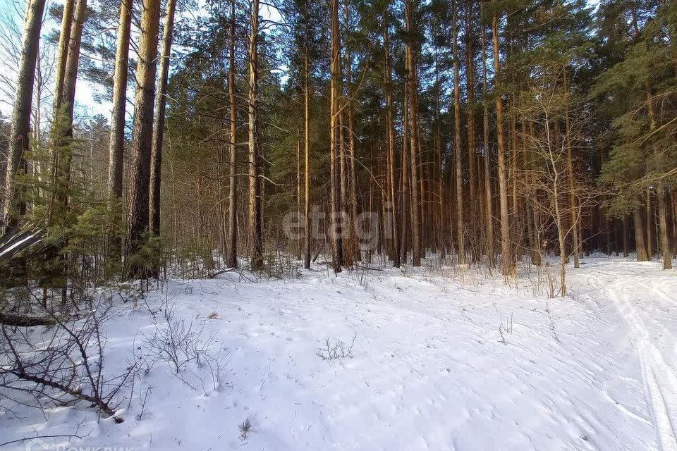 земля г Екатеринбург Екатеринбург, дачное некоммерческое партнёрство Аэродром, муниципальное образование фото 4