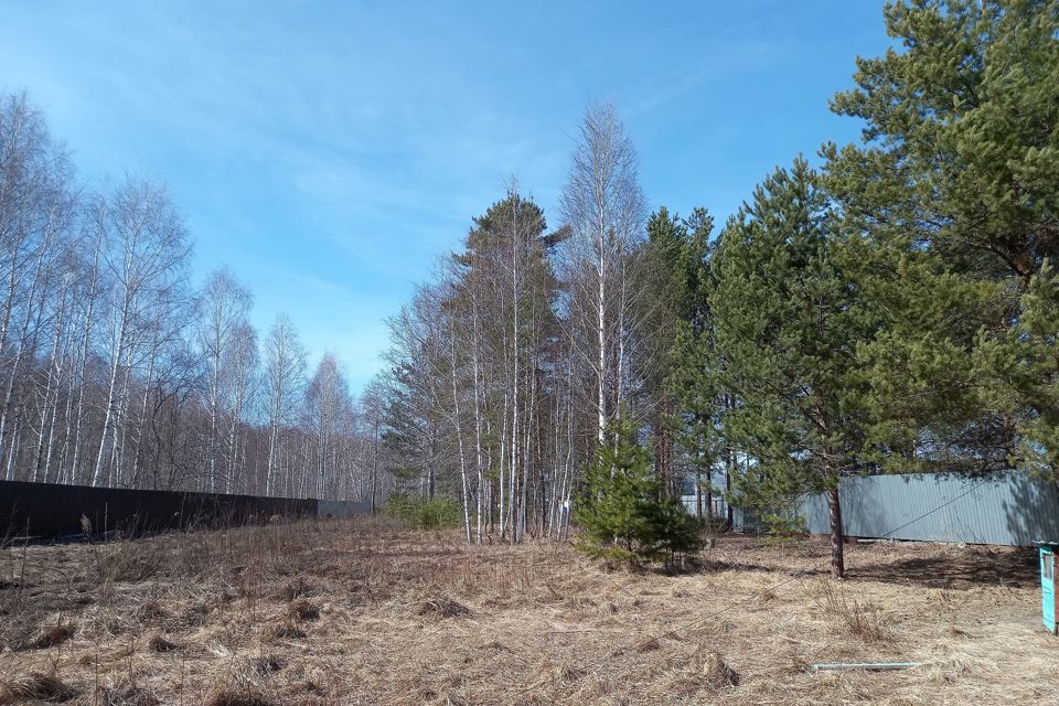 земля г Тюмень тракт Салаирский городской округ Тюмень фото 1