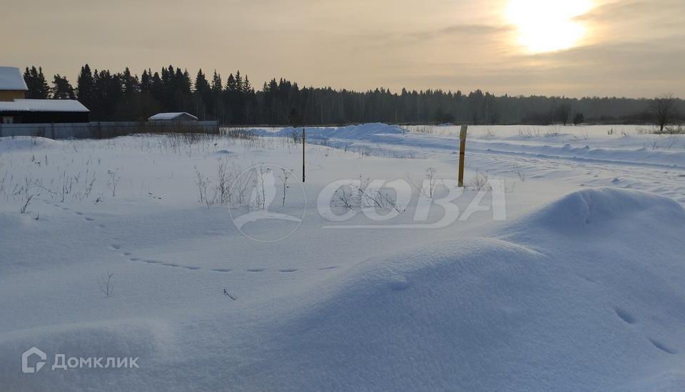 земля р-н Тюменский с Гусево ул Имени Петра Нестерова фото 2