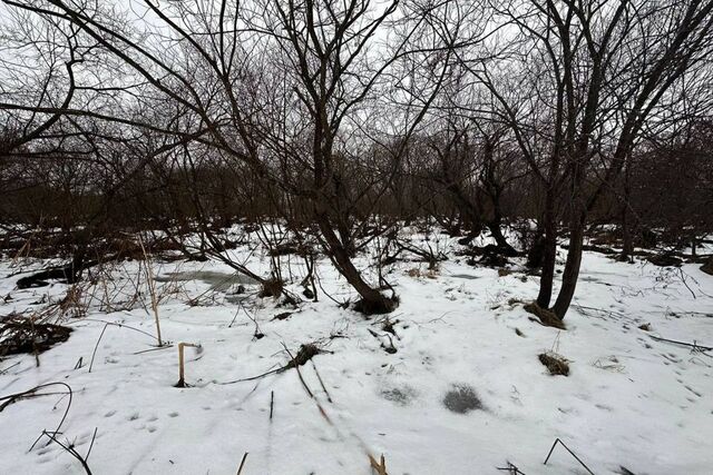 городской округ Южно-Сахалинск, село Березняки фото