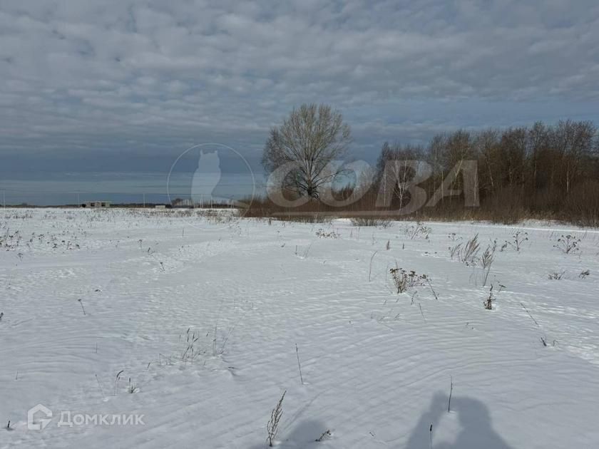 земля р-н Тюменский село Борки фото 3