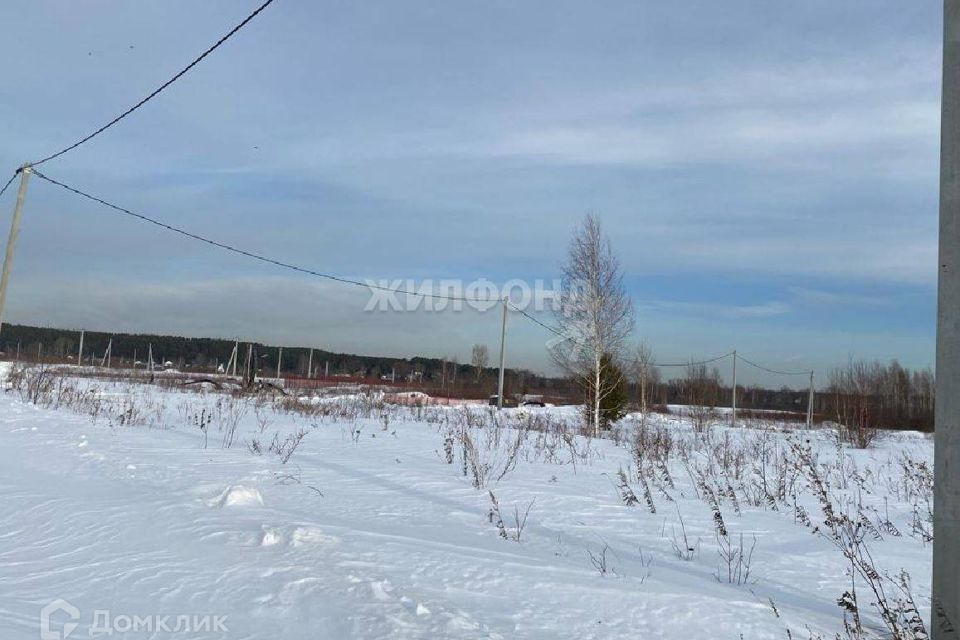 земля р-н Новосибирский СНТ Сады Приобья фото 3