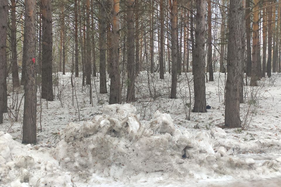 земля г Красноярск городской округ Красноярск, СНТ Овинный фото 3