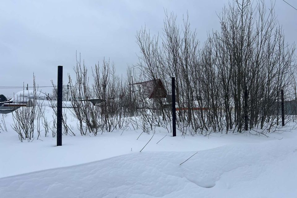 земля г Сургут городской округ Сургут, потребительский садово-огороднический кооператив № 37 Кооператор фото 2