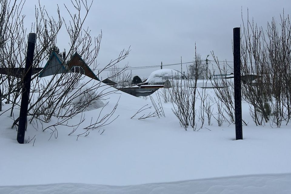 земля г Сургут городской округ Сургут, потребительский садово-огороднический кооператив № 37 Кооператор фото 3