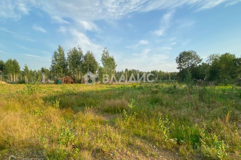 земля г Иваново ул Дальняя Балинская городской округ Иваново фото 4