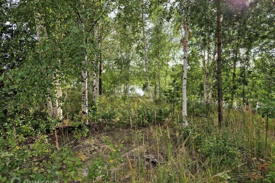 земля городской округ Сургут, садовое товарищество Полимер, 3-я линия фото 7