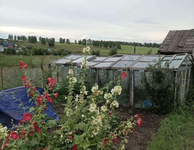 городской округ Барнаул, садоводческое некоммерческое товарищество Берёзка фото