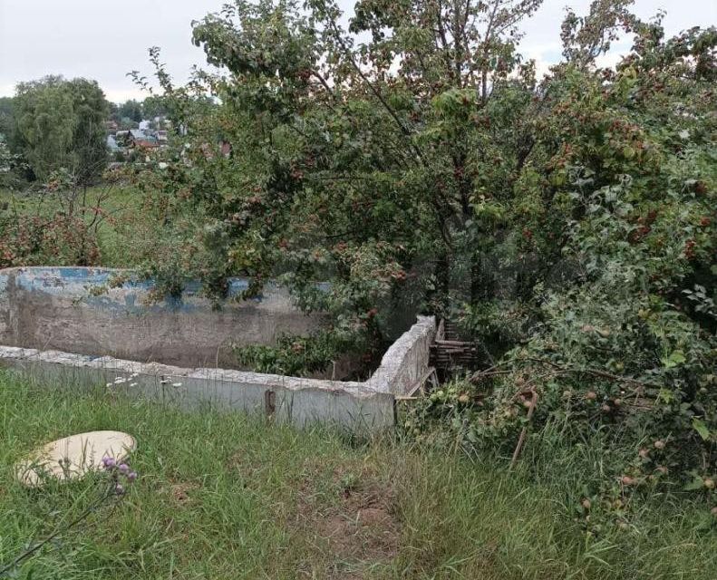 дом городской округ Барнаул, садоводческое некоммерческое товарищество Берёзка фото 2