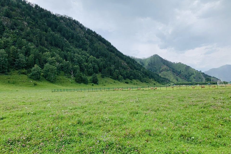 земля р-н Чемальский село Анос фото 3