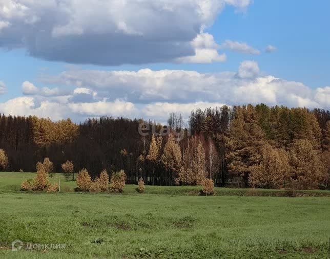 дом г Курган городской округ Курган, Зайково фото 8