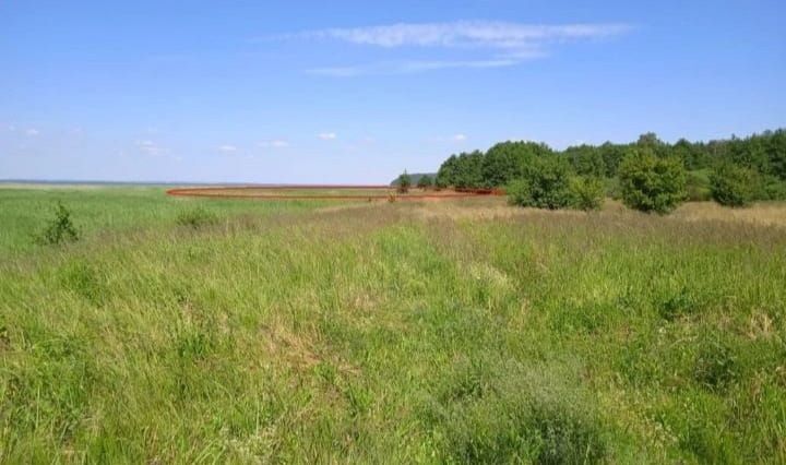 земля Ладушкинский городской округ фото 3