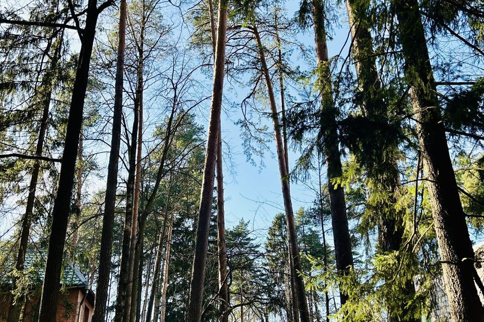 земля г Королев городской округ Королёв, улица Зубова фото 1