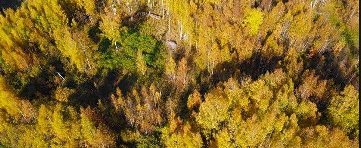 дом р-н Переславский д Соловеново ул Заречная Переславль-Залесский городской округ фото 14