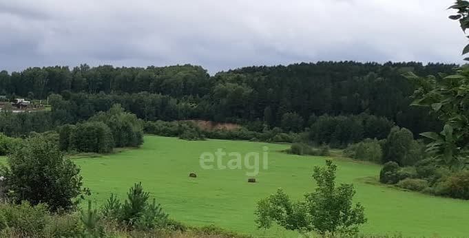 земля р-н Кемеровский с Силино фото 1