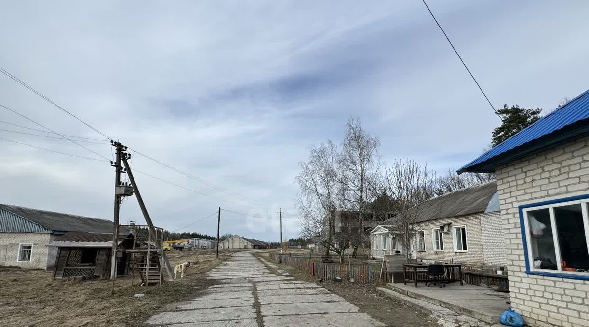 производственные, складские р-н Брасовский д Погребы ул Заводская 1 Погребское с/пос фото 29