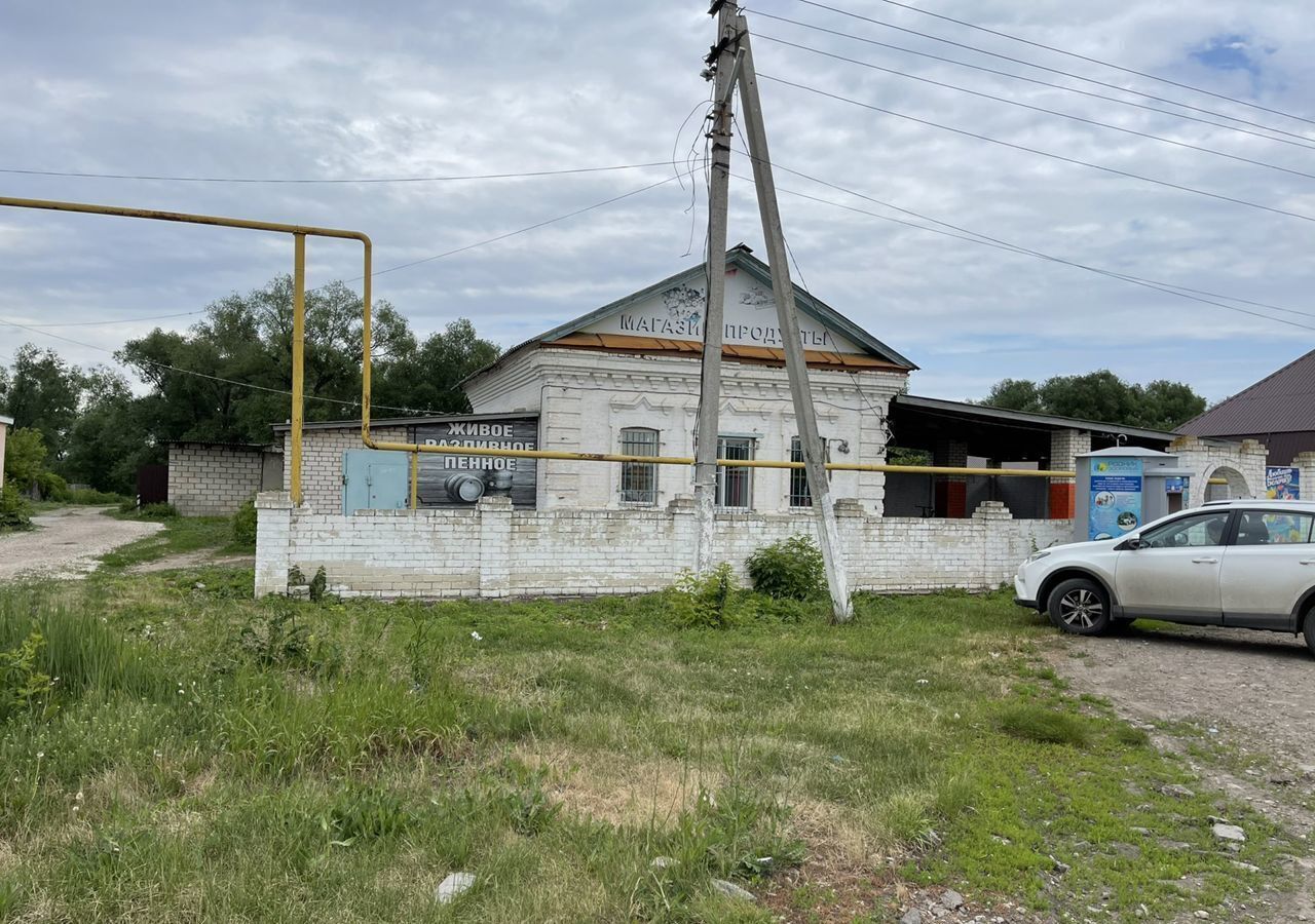 торговое помещение р-н Ставропольский с Нижнее Санчелеево ул Бузыцкова 85 Тольятти фото 1